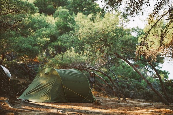 Landes : l'endroit d'exception pour faire du camping