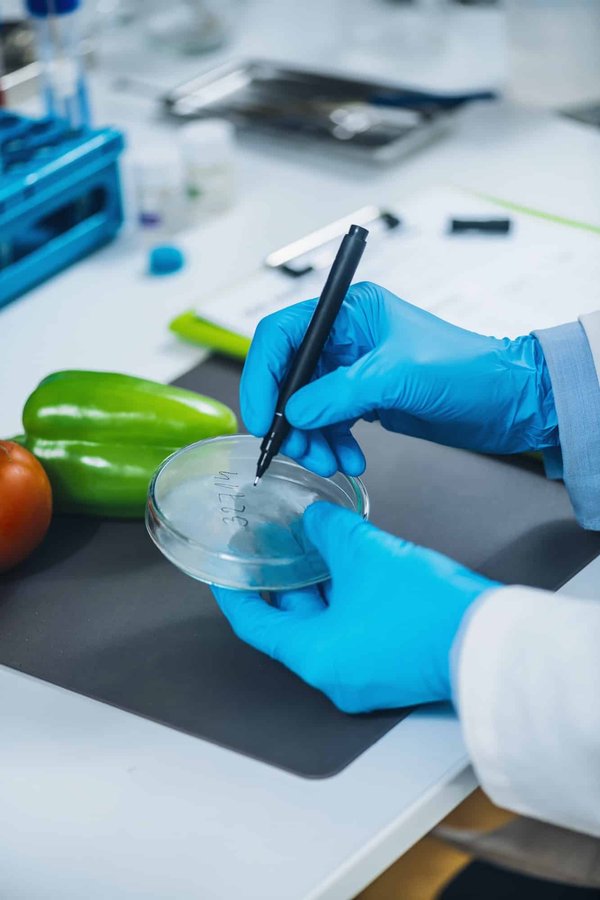 Guide HACCP pour restaurant : les essentiels