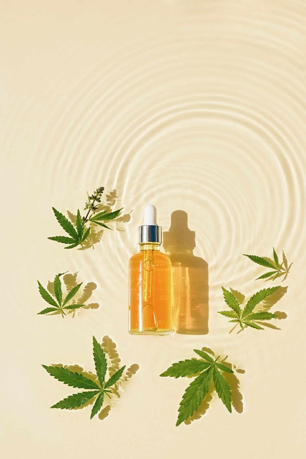 Comment mieux connaître les plantes médicinales ?